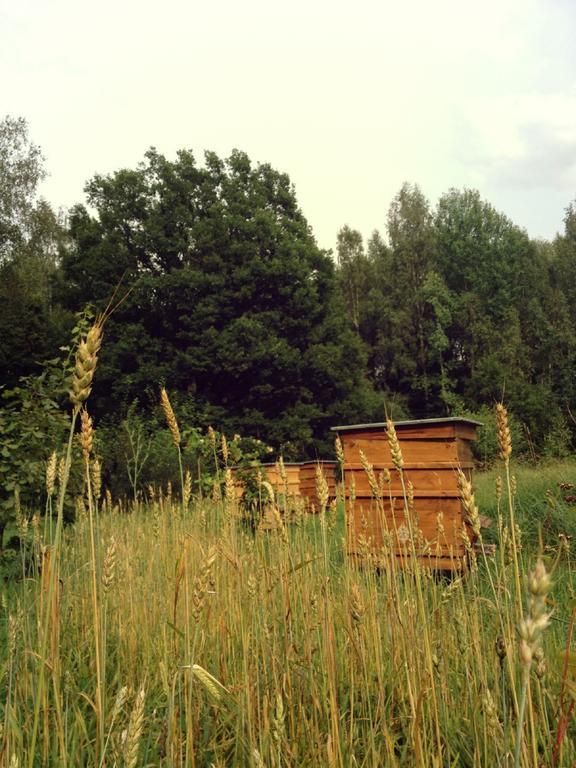 Glempings Klaukas Hotel Sigulda Bagian luar foto